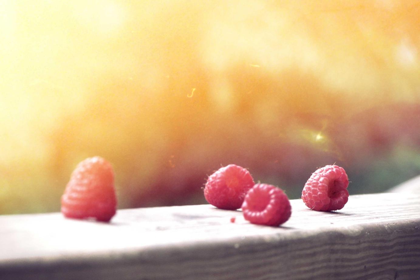 Impedit sunt minus placeat sed ab similique voluptas tempora id