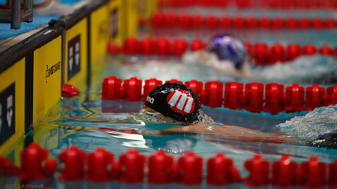 Swimmer in pool