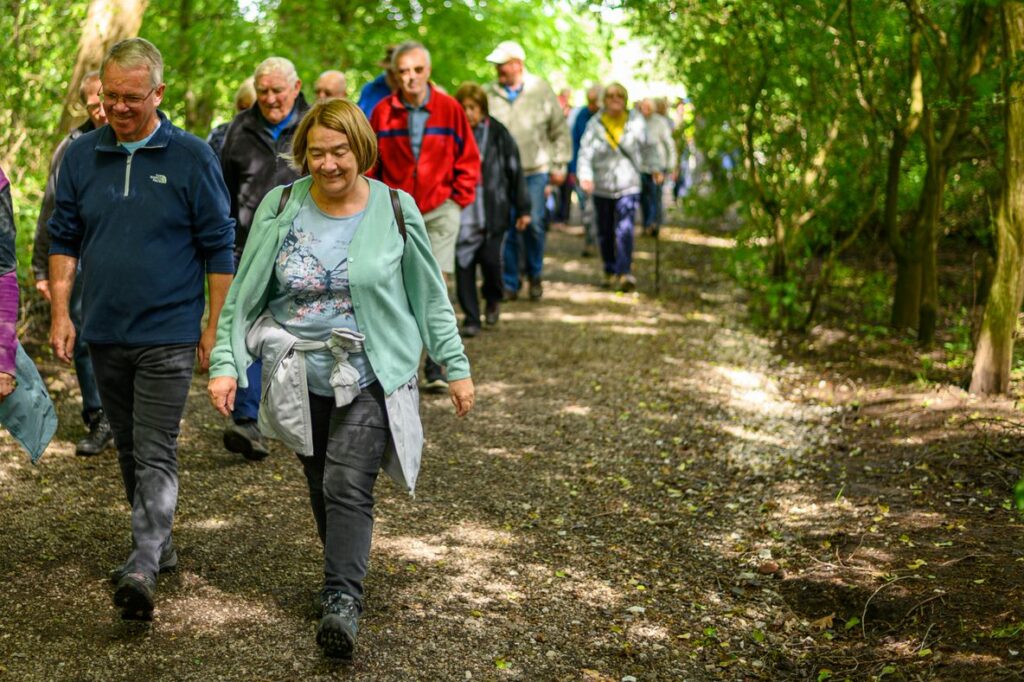 Mixed Group Walking